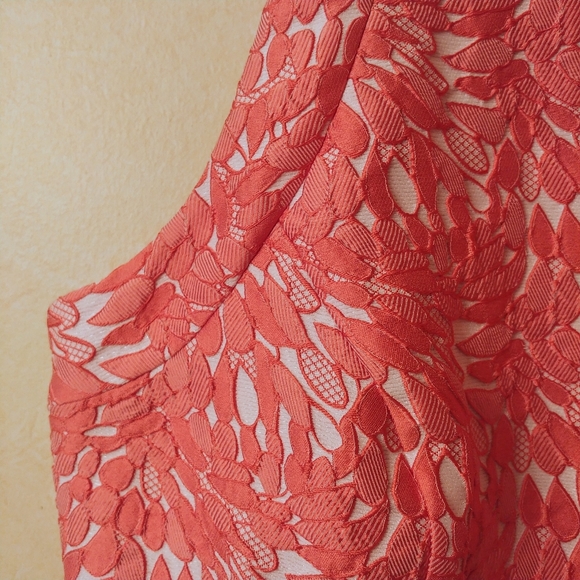 Coral Ann Taylor Dress - Picture 3 of 4